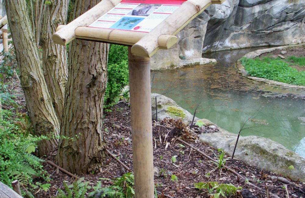 Bambusrahmen  Ausstattung